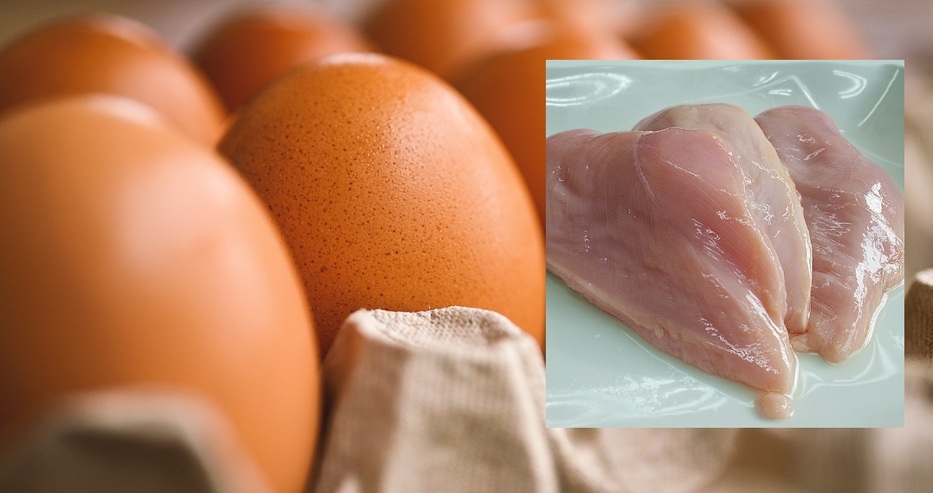 Време е България да научи истината за вносните яйца и пилета, обяви роден производител