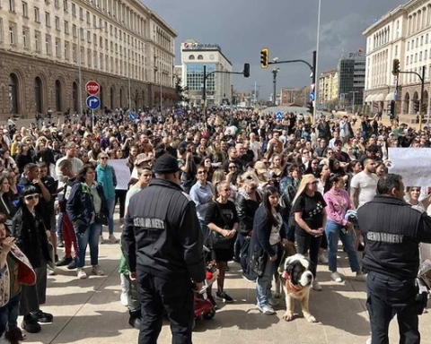 Многолюден протест в София срещу зверствата над животни